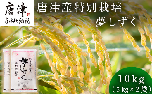 米の食味ランキング3年連続「特A」評価！ 唐津産特別栽培 夢しずく 10kg コメ 精米 お米 ごはん 白米 おにぎり