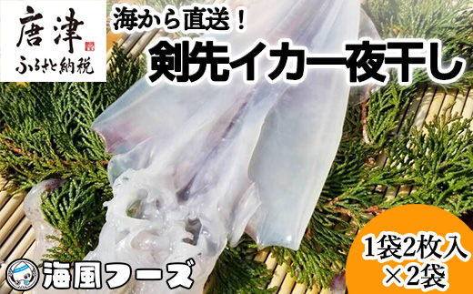 『先行予約』【7月より順次発送】海から直送！剣先イカ一夜干し1袋2枚入り(200ｇ)×2袋 いか おつまみ 干物 酒の肴