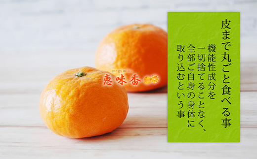 『先行予約』【令和7年2月上旬発送】果皮も丸ごとガブッ！味香みかん 10kg 新種のミカン フルーツ 果物 デザート 柑橘