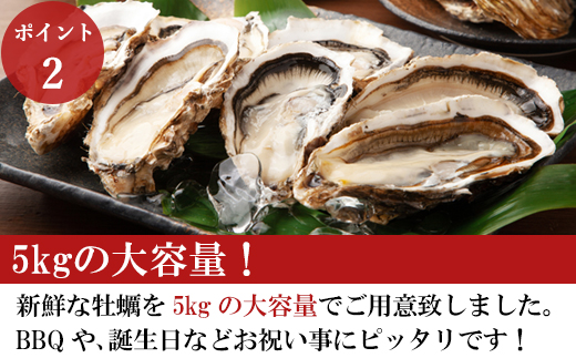 『先行予約』【令和7年1月10日から発送】いろは島の料理長が厳選！唐津産 牡蠣5kg ナイフ 軍手付 (加熱用)殻付き かき カキ 殻付き牡蠣 養殖 まがき 貝 海鮮 シーフード