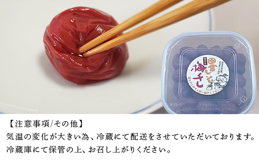 唐津市七山南高梅 田舎梅 (500g×1) 梅干し うめぼし うめ しそ ご飯のお供 ＃irodoriからつ四季の返礼品
