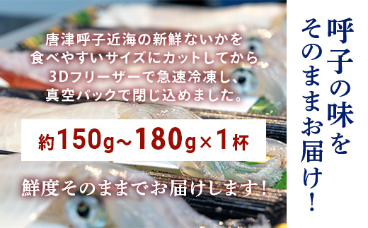 『先行予約』唐津呼子産いか活造り 1杯(約150g～180g)  急速冷凍 新鮮そのまま食卓へ！イカ 刺身 簡単 ギフト ※水揚げあり次第6月以降順次発送させていただきます。