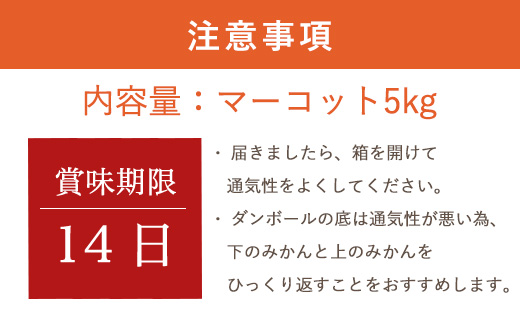 『予約受付』【令和7年2月中旬発送】マーコット（ハウス栽培）唐津産 5kg みかん ミカン 果物 フルーツ