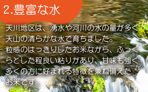 『先行予約』【令和6年産】特別栽培米 【一等米】 唐津市天川産 こしひかり 5kg 減肥減農薬で育てた特別栽培米をお届け たんぱく質が少なく食味が良いお米