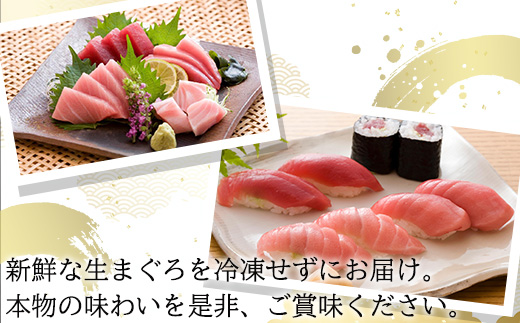 蛻コ霄ォ逕ィ 蝗ス逕」 鮟偵∪縺舌m隧ー繧∝粋繧上○ 邏1kg 繝医Ο 襍、霄ォ 繝槭げ繝ュ 魄ェ 蛻コ霄ォ 縺輔@縺ソ 鬲 鬲壻サ 譟オ 繝悶Ο繝繧ッ 豬キ魄ョ 豬キ逕」迚ゥ