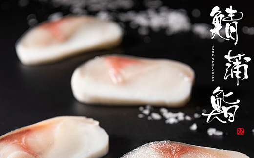 生の新食感 唐津Qサバ「鯖蒲鮨」1本(250g以上～300g未満) さば 蒲鉾 かまぼこ おつまみ ギフト 鯖 サバ 唐津 Qサバ 鯖鮨 呼福 大志 水産 魚 海鮮 水産加工