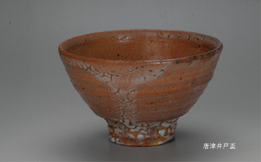 唐津焼 唐津 井戸盃＃irodoriからつ四季の返礼品