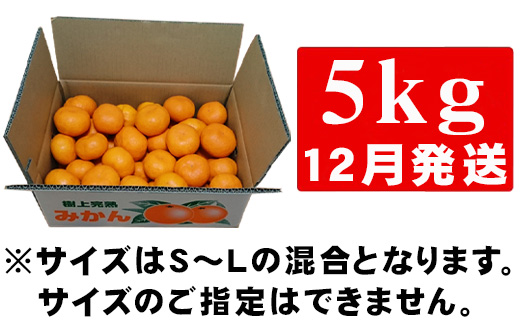 『先行予約』【12月発送】吉田みかん園の樹上完熟みかん 5kg 柑橘 ミカン 蜜柑 フルーツ 果物