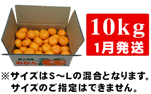 『先行予約』【令和7年1月から発送】吉田みかん園の樹上完熟みかん 10kg 柑橘 ミカン 蜜柑 フルーツ 果物