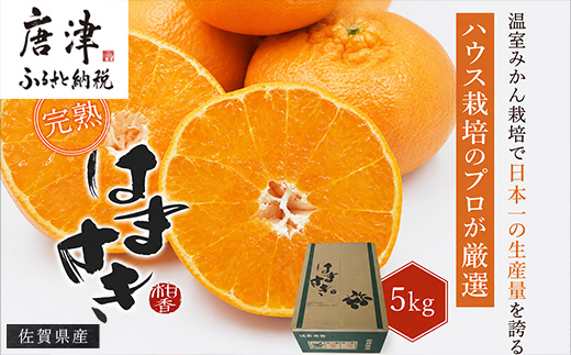 『先行予約』【令和9年2月上旬より順次発送】【特選甘熟みかん】はまさき 5kg 佐賀県産 果物フルーツ 柑橘