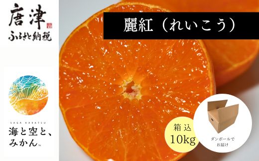 『予約受付』【令和7年2月上旬発送】唐津産ハウス育ち「麗紅」箱込10kg 〜海と空と、みかん〜 ミカン 果物 フルーツ 柑橘 ギフト