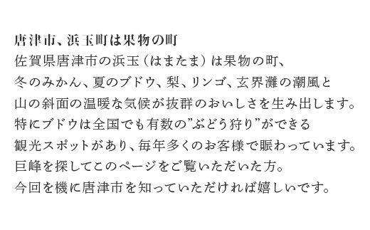 『先行予約』【令和7年7月上旬発送】唐津市産種あり大粒「巨峰」約3kg(5～8房) ぶどう ブドウ 果物 フルーツ ギフト