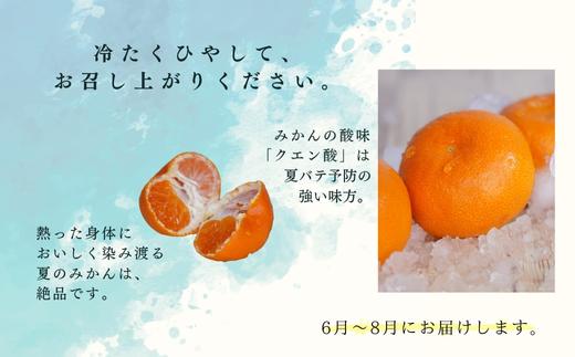 『予約受付』【令和6年6月上旬発送】夏の極上ハウスみかん「夏織」1.3kg  贈答箱・ギフトボックス入り ～海と空と、みかん～ 甘くてとろける夏の果物に ミカン フルーツ 柑橘