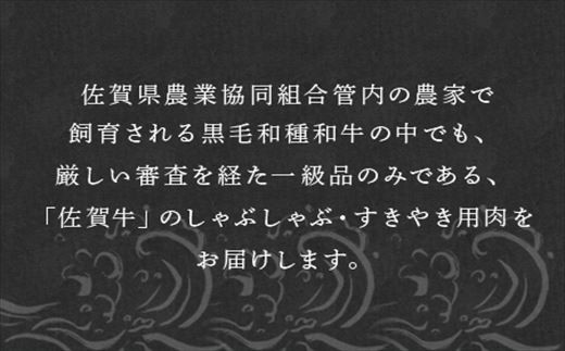 佐賀牛しゃぶしゃぶ・すき焼き用 640g 和牛 肉 ギフト 贈り物