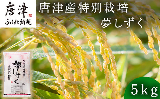 米の食味ランキング3年連続「特A」評価！ 唐津産特別栽培 夢しずく 5kg コメ 精米 お米 ごはん 白米 おにぎり