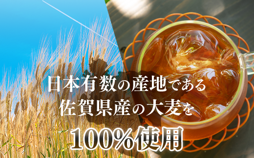 「全6回定期便」佐賀県産麦茶 (40P×８本セット)×６回 ティ−バック 簡単 ノンカフェイン 2ヶ月に1回お届け