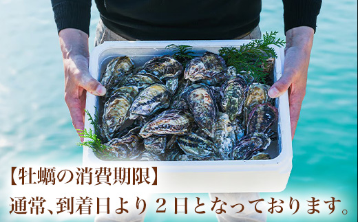 『先行予約』【12月中旬より順次発送】唐津産 殻付きいろは牡蠣 2kg(軍手・ナイフ付)期間限定 産地直送 殻付き 牡蠣 カキ 殻付き牡蠣 佐賀県 海鮮 BBQ 加熱用 お取り寄せ 贈り物 冬ギフト ギフト