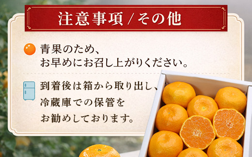 『先行予約』【令和9年3月上旬より順次発送】◎にじゅうまる◎ 5kg 佐賀県産【高級柑橘みかん】果物フルーツ 柑橘