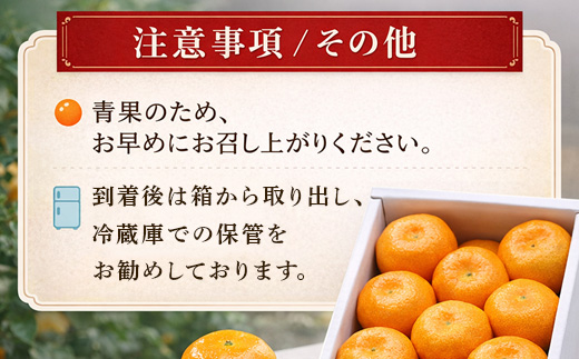 『先行予約』【令和8年7月上旬より順次発送】【全国出荷量1位】佐賀県ハウスみかん 1.8kg 高級甘熟みかん 果物フルーツ 柑橘