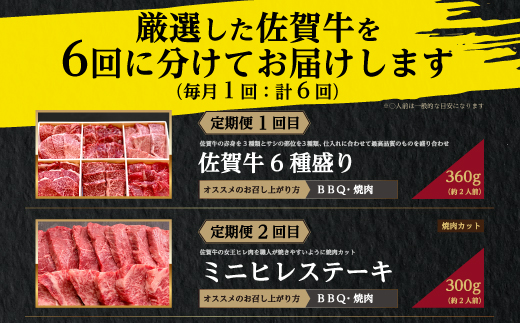 「定期便全6回」 佐賀牛 BBQや焼肉好きな方におすすめ 寄附翌月から発送 (合計3.46kg)A5～A4等級 ギフト 贈り物 アウトドア  「2024年 令和6年」