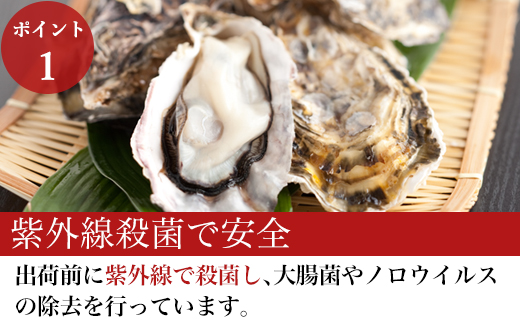 『先行予約』【令和7年1月10日から発送】いろは島の料理長が厳選！唐津産 牡蠣3kg ナイフ 軍手付 (加熱用殻付き) かき カキ 殻付き牡蠣 養殖 まがき 貝 海鮮 シーフード