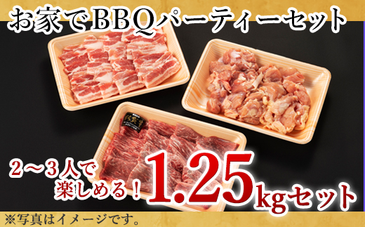 佐賀牛 華味鳥 九州産豚 BBQセット 3種 合計1.25kg アウトドア バーベキュー 牛肉 豚肉 鶏肉「2023年 令和5年」