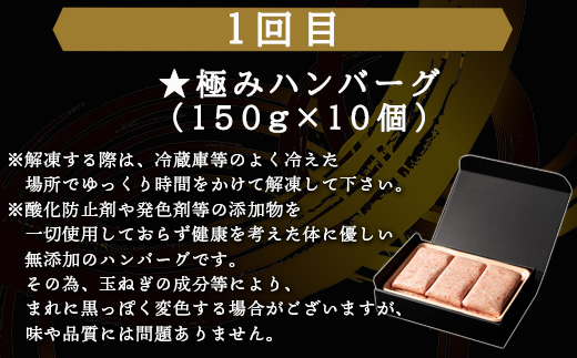 「全6回定期便」唐津大人気ハンバーグ定期便 黒毛和牛 手ごね 佐賀牛 食べ比べ「2024年 令和6年」