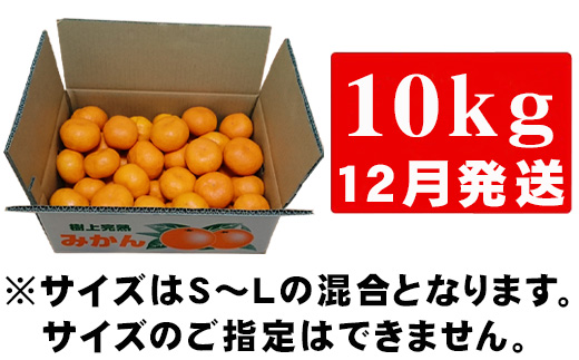 『先行予約』【12月発送】吉田みかん園の樹上完熟みかん 10kg 柑橘 ミカン 蜜柑 フルーツ 果物