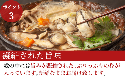 『先行予約』【令和7年1月10日から発送】いろは島の料理長が厳選！唐津産 牡蠣3kg ナイフ 軍手付 (加熱用殻付き) かき カキ 殻付き牡蠣 養殖 まがき 貝 海鮮 シーフード