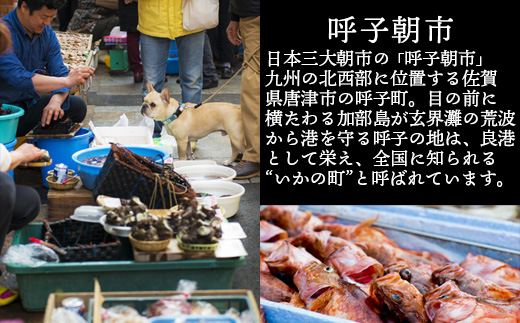 (æ°ééå®)åŒåã®ããæŽ»é ã (120gååŸÃ2)å°ã¶ãã§æ¯ããããå³ã鮮床ãæçŸ€ïŒ æµ·é®®