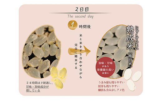 令和7年産 (熟成米) 佐賀県唐津産 さがびより 5kg×2(合計10kg) ご飯 ごはん 白米 お米 コメ