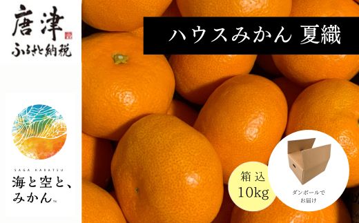 『先行予約』【令和7年6月上旬発送】夏の極上ハウスみかん「夏織」箱込10kg 〜海と空と、みかん〜　甘くてとろける夏の果物 ミカン フルーツ 柑橘