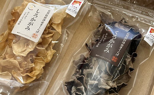ノウフクJAS認証 乾燥きくらげ 2種セット(しろかがみ30g・くろかがみ35g) 唐津市産 キクラゲ 木耳 きのこ 食物繊維  和食 中華 洋食 料理