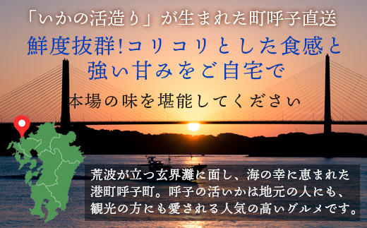 呼子のいか活造り1杯(360g前後) 特大サイズ コリコリ甘い鮮度抜群の透明感! 刺身 ギフト 冷凍