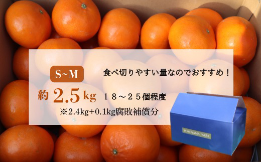 『予約受付』【令和9年1月下旬より順次発送】農家直送！施設育ちの希少柑橘 麗紅(箱込み2.5kg) みかん ミカン 蜜柑 柑橘 ハウス栽培