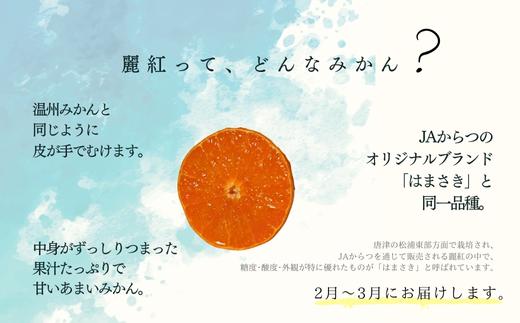 『予約受付』【令和7年2月上旬発送】唐津産ハウス育ち「麗紅」箱込10kg 〜海と空と、みかん〜 ミカン 果物 フルーツ 柑橘 ギフト