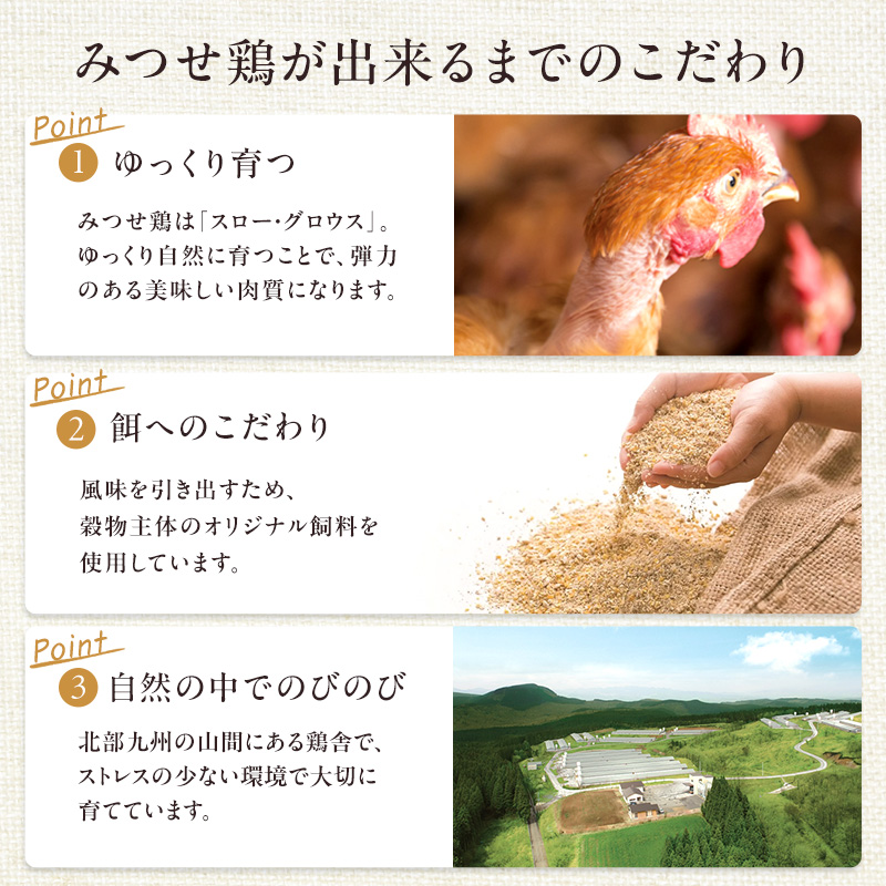 鶏肉 みつせ鶏 もも肉 むね肉 セット 計1300g 鶏もも肉 鶏胸肉 ソース付き もも むね 肉 お肉 鳥肉 