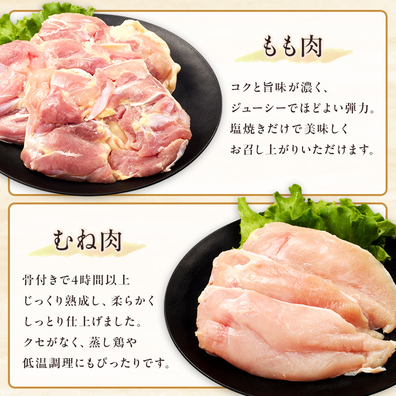 鶏肉 みつせ鶏 もも肉 むね肉 セット 計1300g 鶏もも肉 鶏胸肉 ソース付き もも むね 肉 お肉 鳥肉 