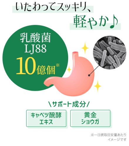 DHC èã®äžã®ä¹³é
žè LJ(ãšã«ãžã§ã€)88 30æ¥å 2å(60æ¥å) ã»ãã