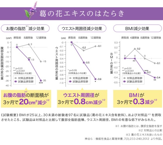 DHC お腹の脂肪が気になる方の葛花茶 特定保健用食品 30日分