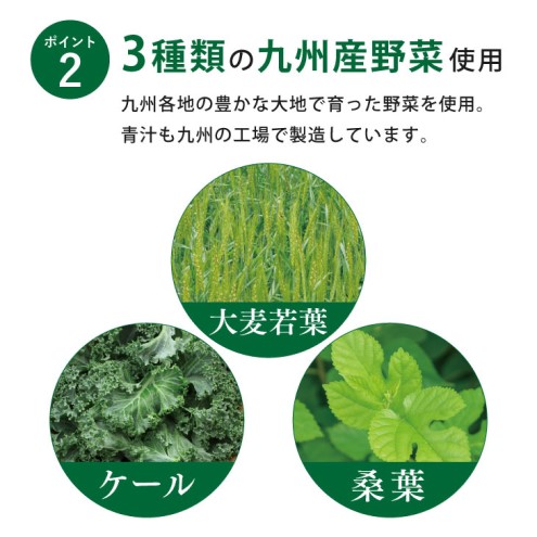 GABA 青汁 3個 セット 合計90袋 健康 ヘルシー 