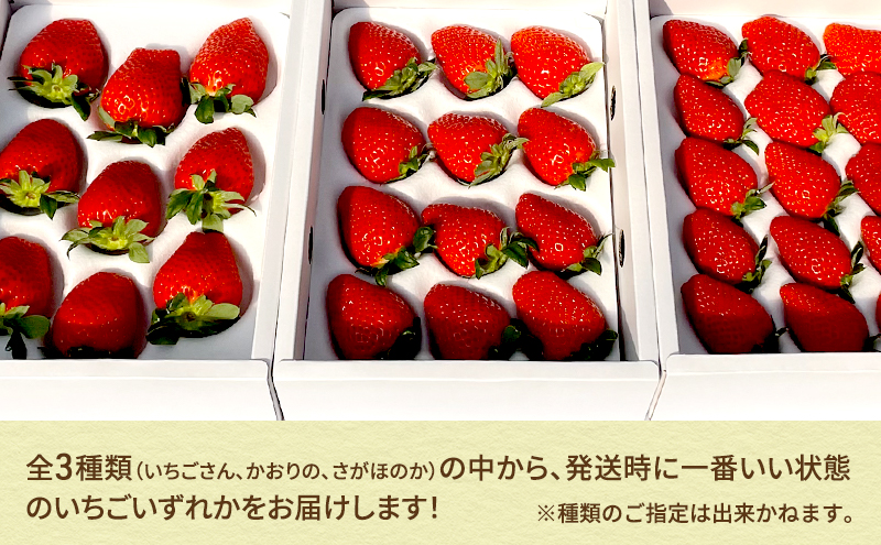 いちご 1箱 （約300g～350g） 佐賀県産 イチゴ 苺 果物 フルーツ デザート ※配送不可:北海道