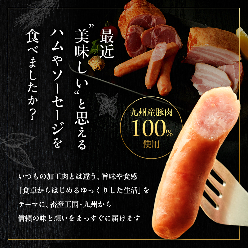 ふるさとセットR ハム ソーセージ 4種 お肉 ハム 