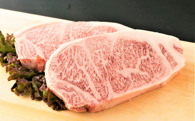 佐賀牛 艶さし！【A4～A5】佐賀牛サーロイン ステーキ セット 500g（250gx2枚） 肉 お肉 牛肉 和牛 牛 ※配送不可：離島