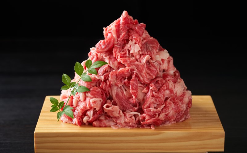 佐賀牛 艶さし！【A4～A5】佐賀牛切り落とし 500g 肉 お肉 牛肉 和牛 牛 ※配送不可：離島