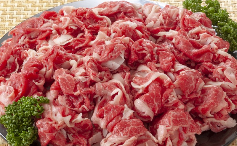 佐賀牛 艶さし！【A4～A5】佐賀牛切り落とし 1kg(500gx2p） 肉 お肉 牛肉 和牛 牛 ※配送不可：離島