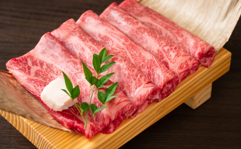 訳あり！ 佐賀牛 艶さし！【A4～A5】佐賀牛しゃぶしゃぶ すき焼き 750g セット 肉 お肉 牛肉 和牛 牛 ※配送不可：離島