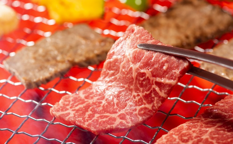 訳あり！ 佐賀牛 【A4～A5】佐賀牛切り落とし 5kg(500gx10p） 肉 お肉 牛肉 和牛 牛 ※配送不可：離島 