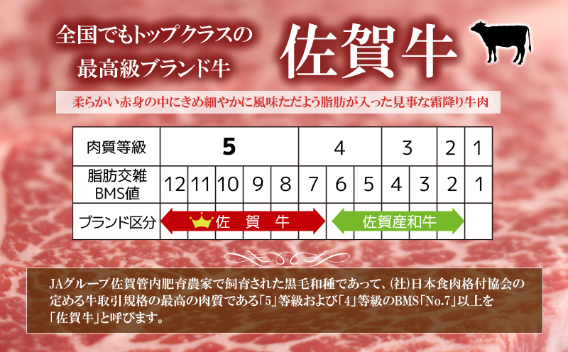 佐賀牛 肩ロース すきやき しゃぶしゃぶ 計約900g (300g×3p) 肉 牛肉 ロース スキヤキ すきしゃぶ ※配送不可:離島