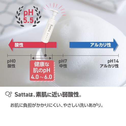 美容 泡洗顔料 Satta 150ml 泡石鹸 メンズ コスメ